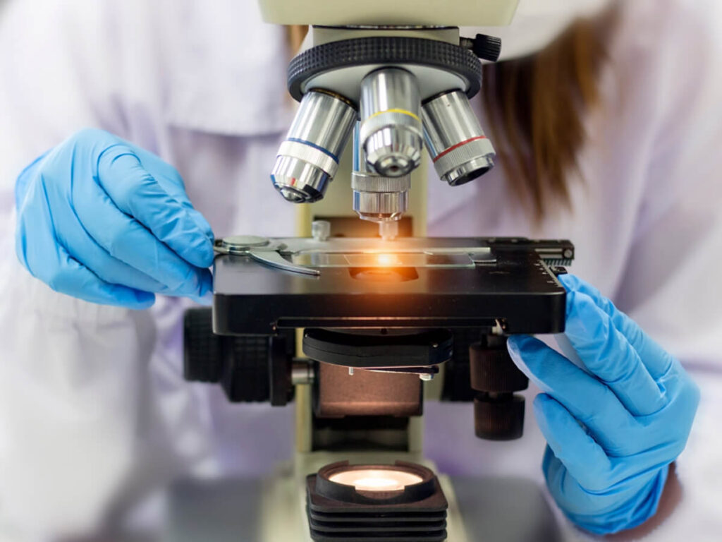 Technicien de laboratoire, muni de gants en latex bleus, observe un échantillon au microscope.